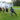 Highland Games at Achnagairn
