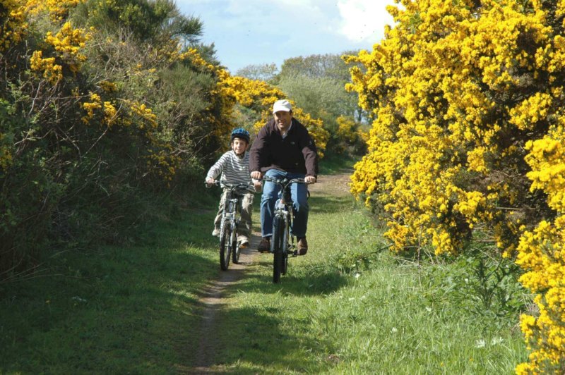 Family cycling