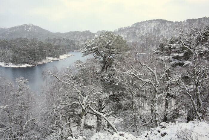 Glen Affric