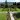 Wedding Grounds Top