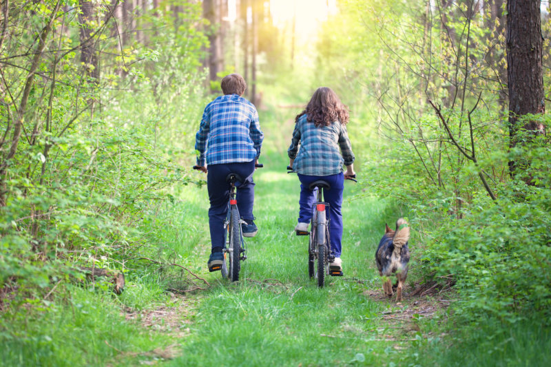 Couple cycling with their dog